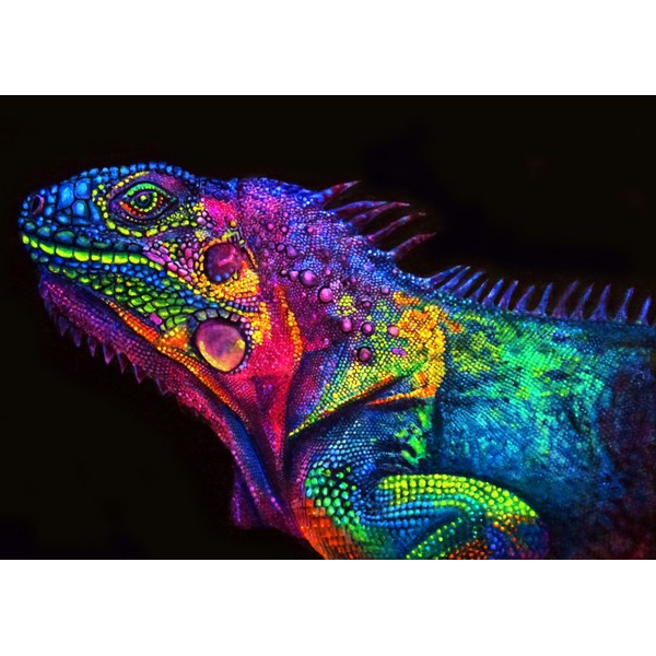 Colorful Chameleon DIY Painting Kit